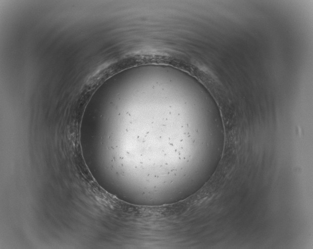 X0000080670870200612221114