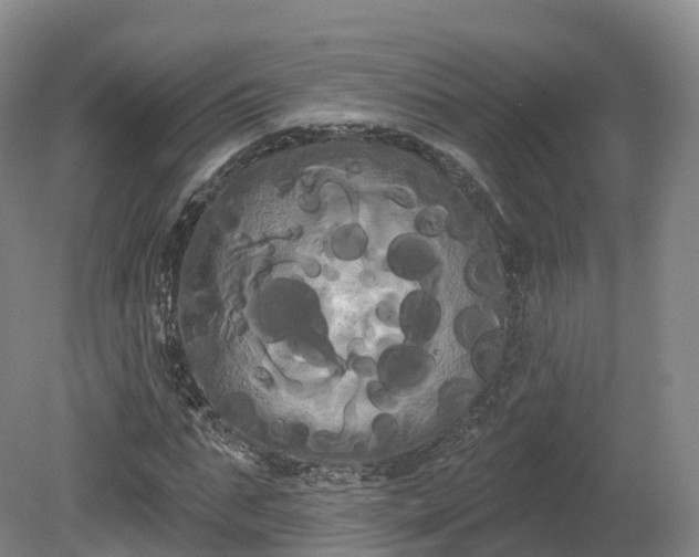 X0000080670871200612221114