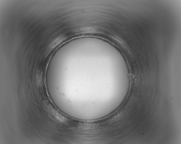 X0000080670873200612221114
