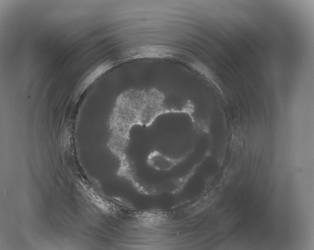 X0000080670874200612221114