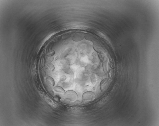 X0000080670875200612221114