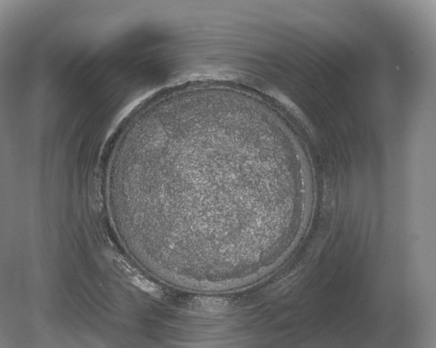 X0000080670878200612221114