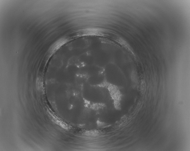X0000080670882200612221114