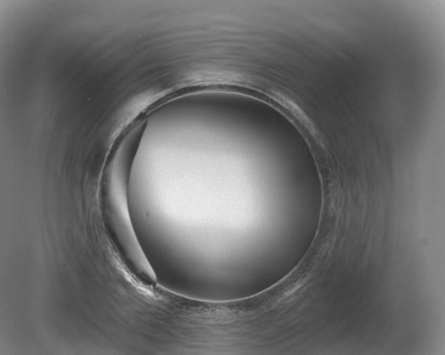 X0000080670885200612221114