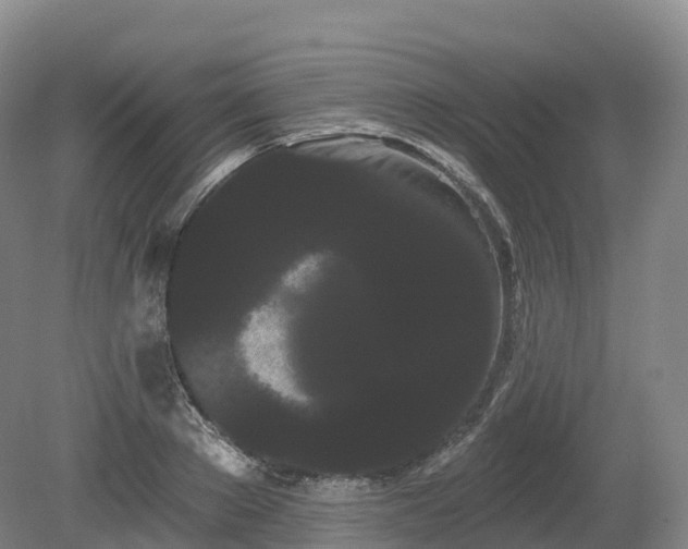 X0000080670889200612221114