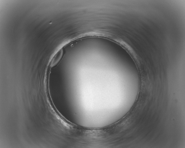 X0000080670902200612221113