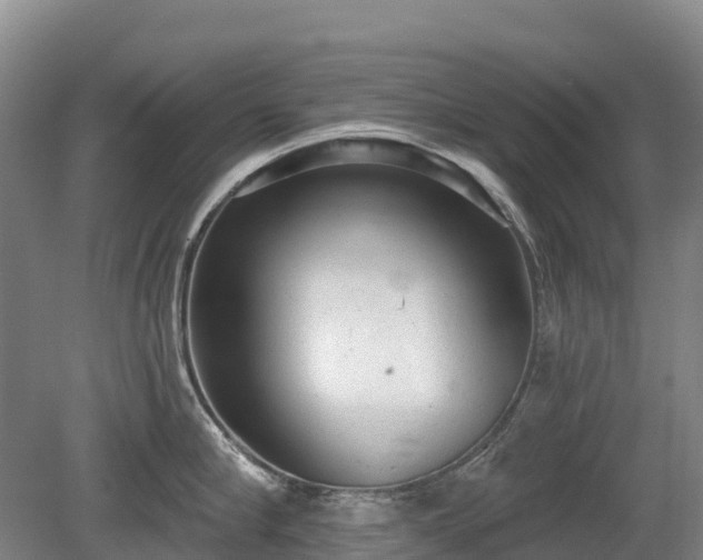 X0000080670910200612221113