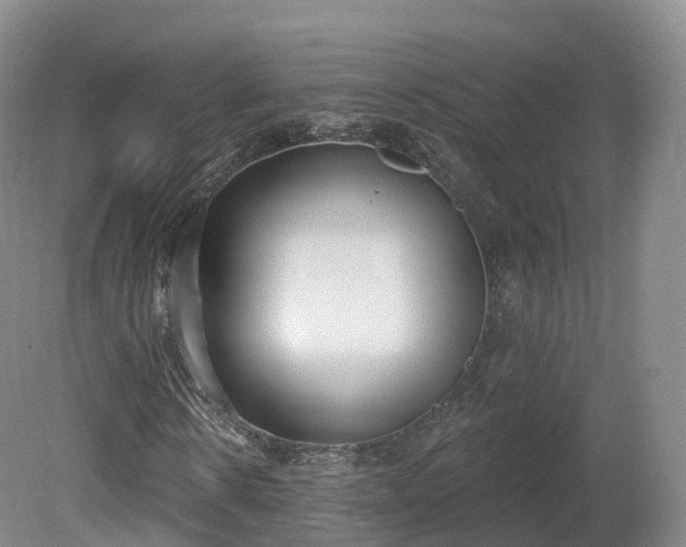 X0000080670914200612221113