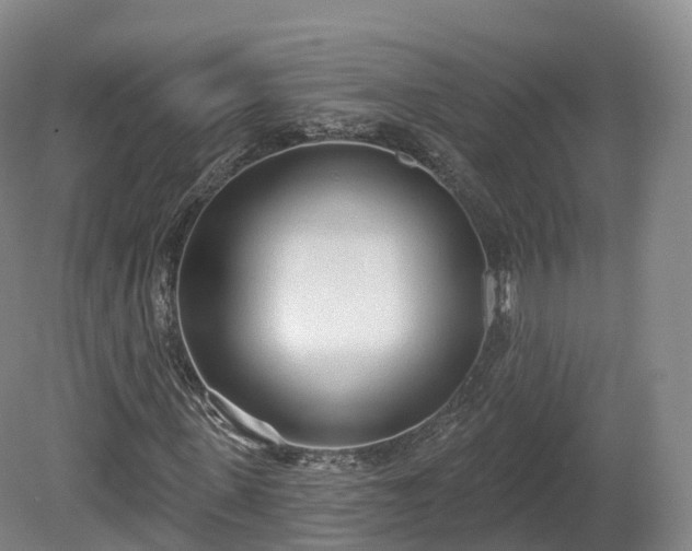 X0000080670915200612221113