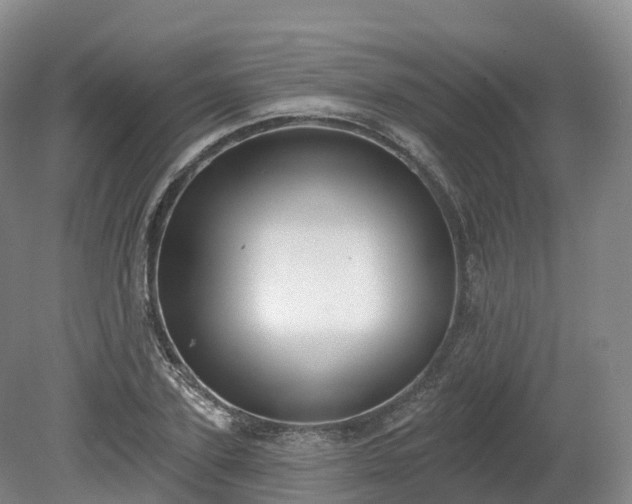 X0000080670931200612221113