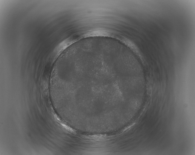X0000080670937200612221113