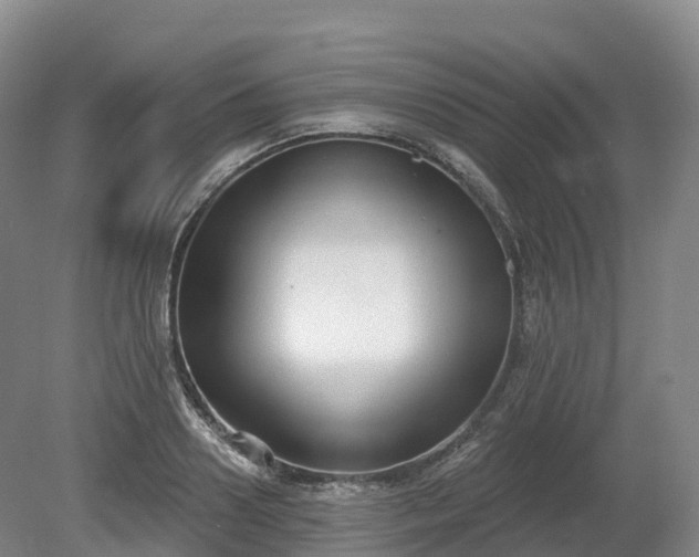 X0000080670938200612221113