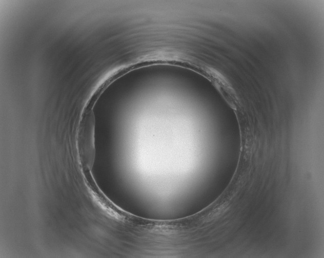 X0000080670942200612221113