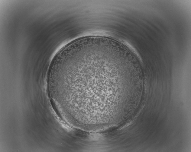 X0000080670944200612221113