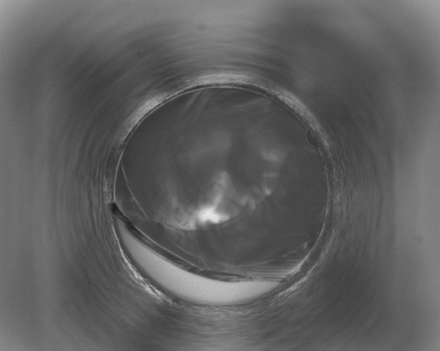 X0000080670945200612221113