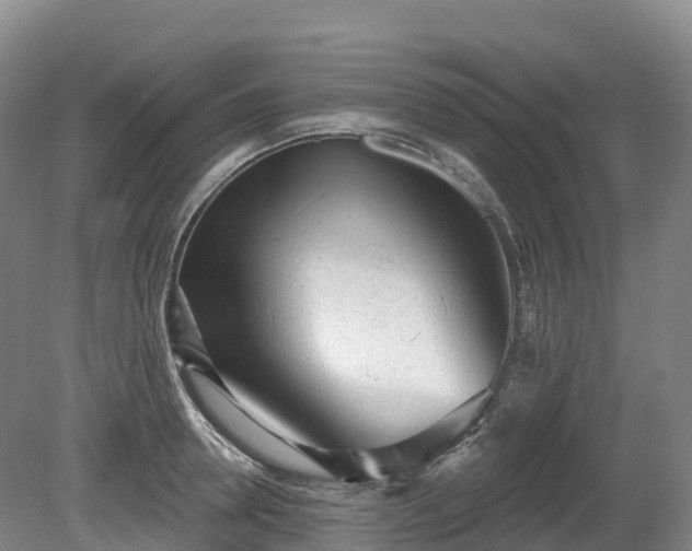X0000080670946200612221113