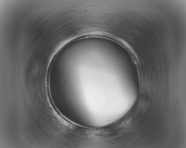 X0000080670951200612221113