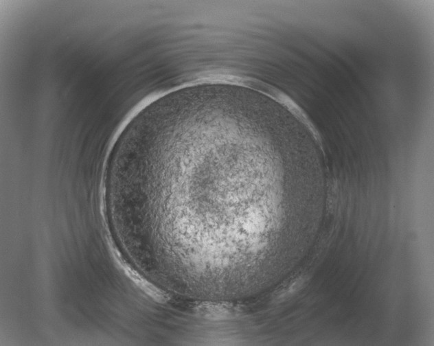 X0000080670955200612221113