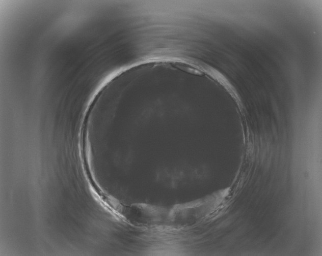 X0000080670958200612221113