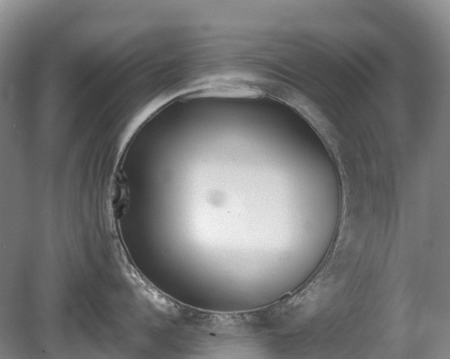 X0000080670960200612221113