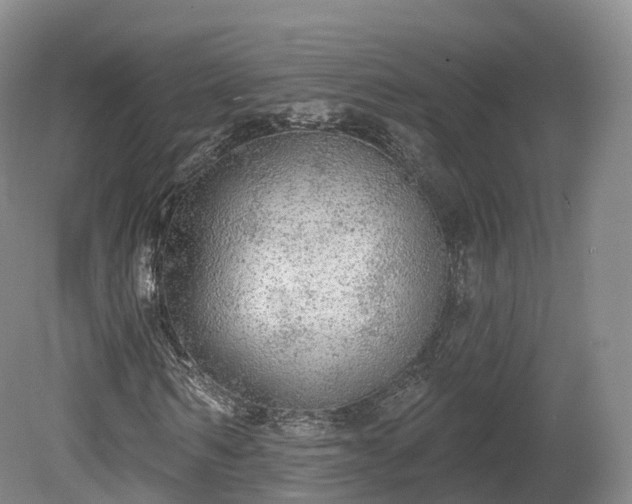 X0000080670962200612221112