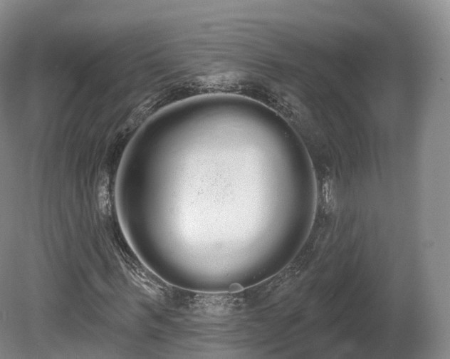 X0000080670963200612221112