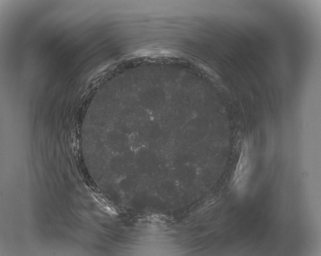 X0000080670966200612221112