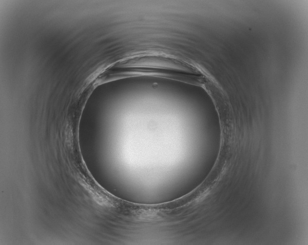 X0000080670969200612221112
