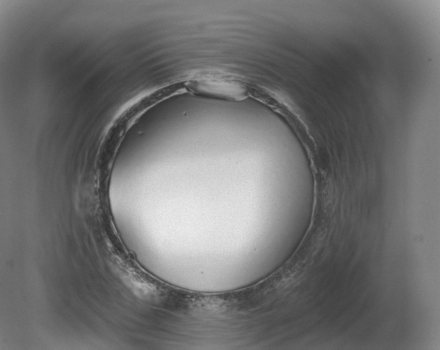X0000080670971200612221112