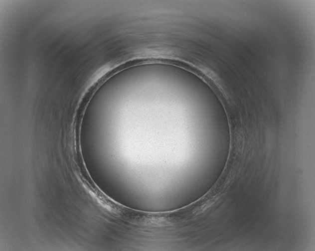 X0000080670982200612221112