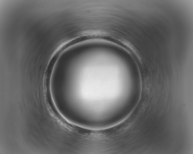 X0000080670983200612221112