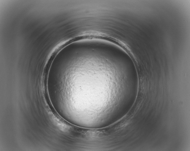X0000080670987200612221112