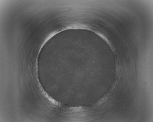 X0000080670990200612221112