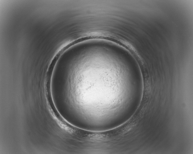 X0000080670991200612221112