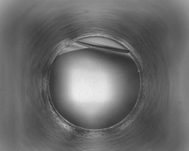 X0000080670993200612221112