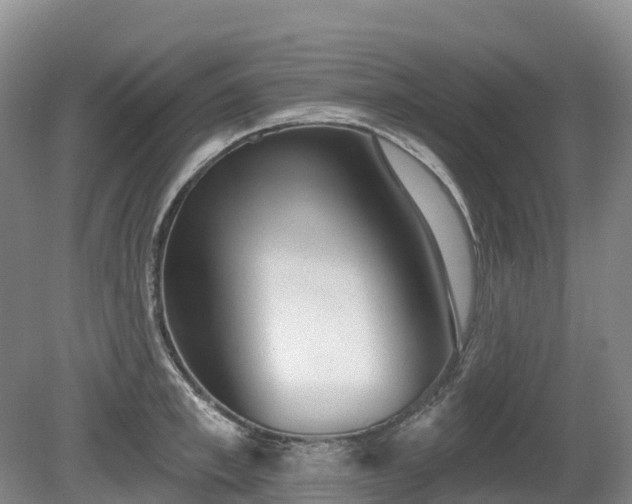 X0000080670997200612221112