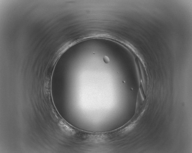 X0000080671001200612221112