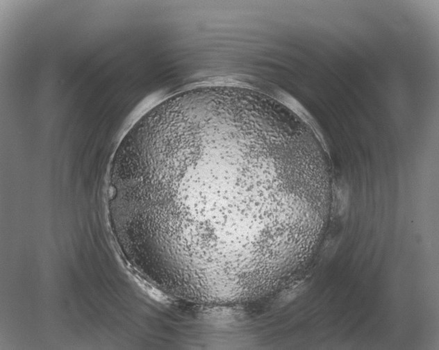 X0000080671002200612221112