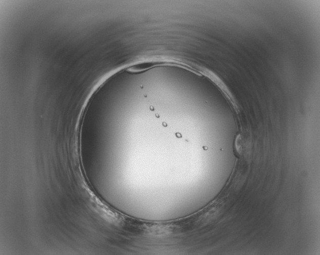 X0000080671004200612221112
