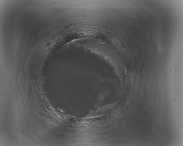 X0000080671009200612221111