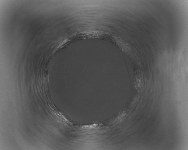 X0000080671010200612221111