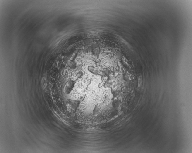 X0000080671011200612221111