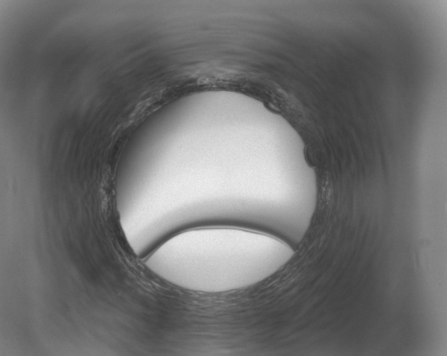 X0000080671012200612221111