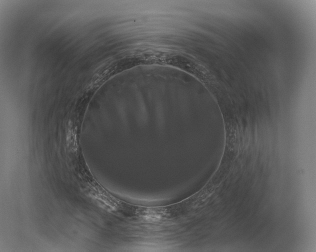 X0000080671013200612221111