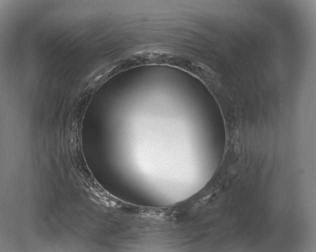 X0000080671014200612221111
