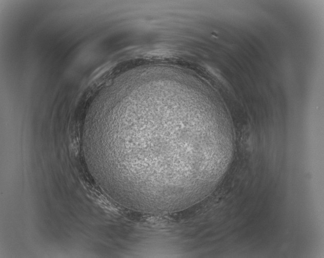 X0000080671015200612221111