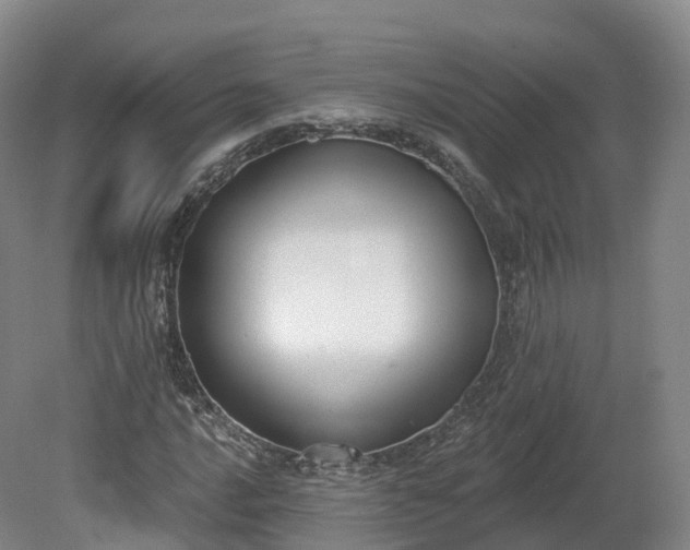X0000080671016200612221111