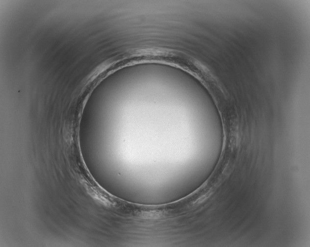 X0000080671017200612221111