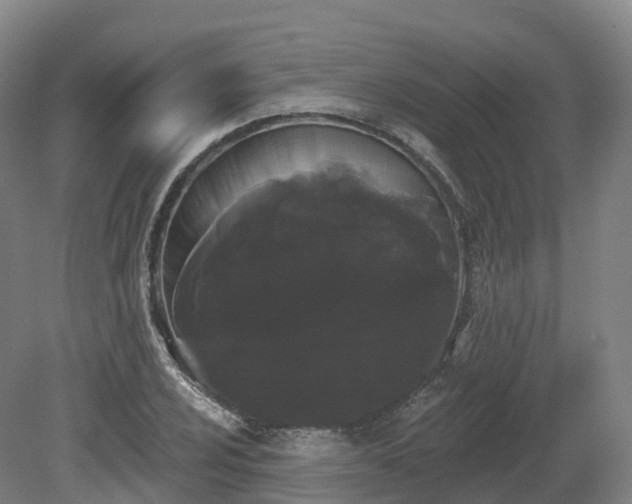 X0000080671024200612221111