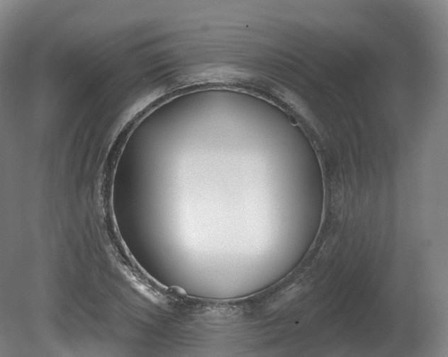 X0000080671026200612221111